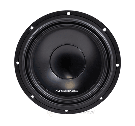 AI-SONIC S3-W6
