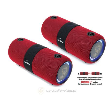 PEXMAN STEREO PM-10R